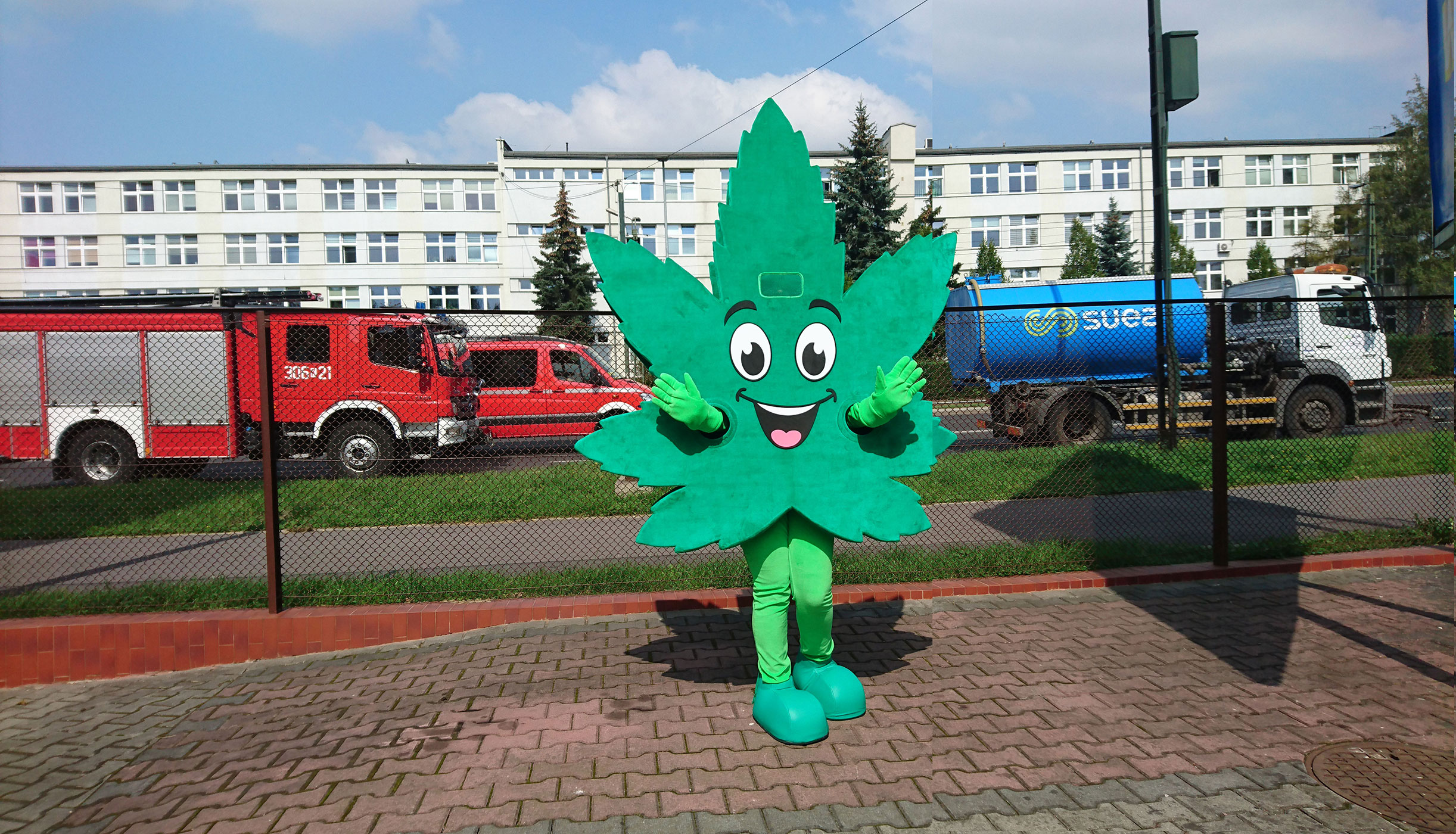 Na fotografii widnieje maskotka strój reklamowy w postaci liścia marihuany pozująca do zdjęcia przez siedzibą firmy Elabika na jednej z ulic Krakowa